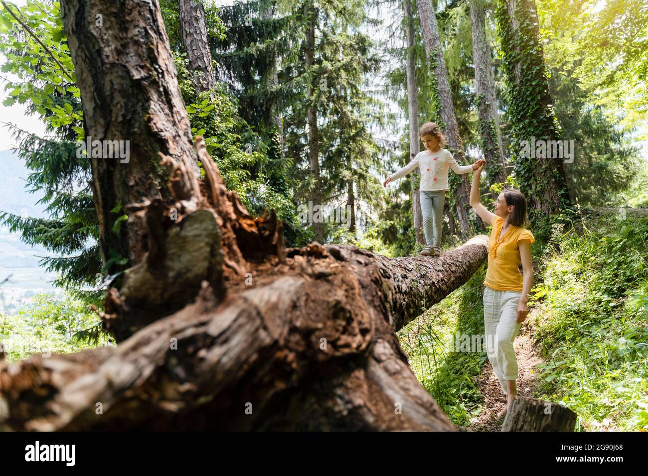 Mother holding hand of daughter balancing on fallen tree at forest ...