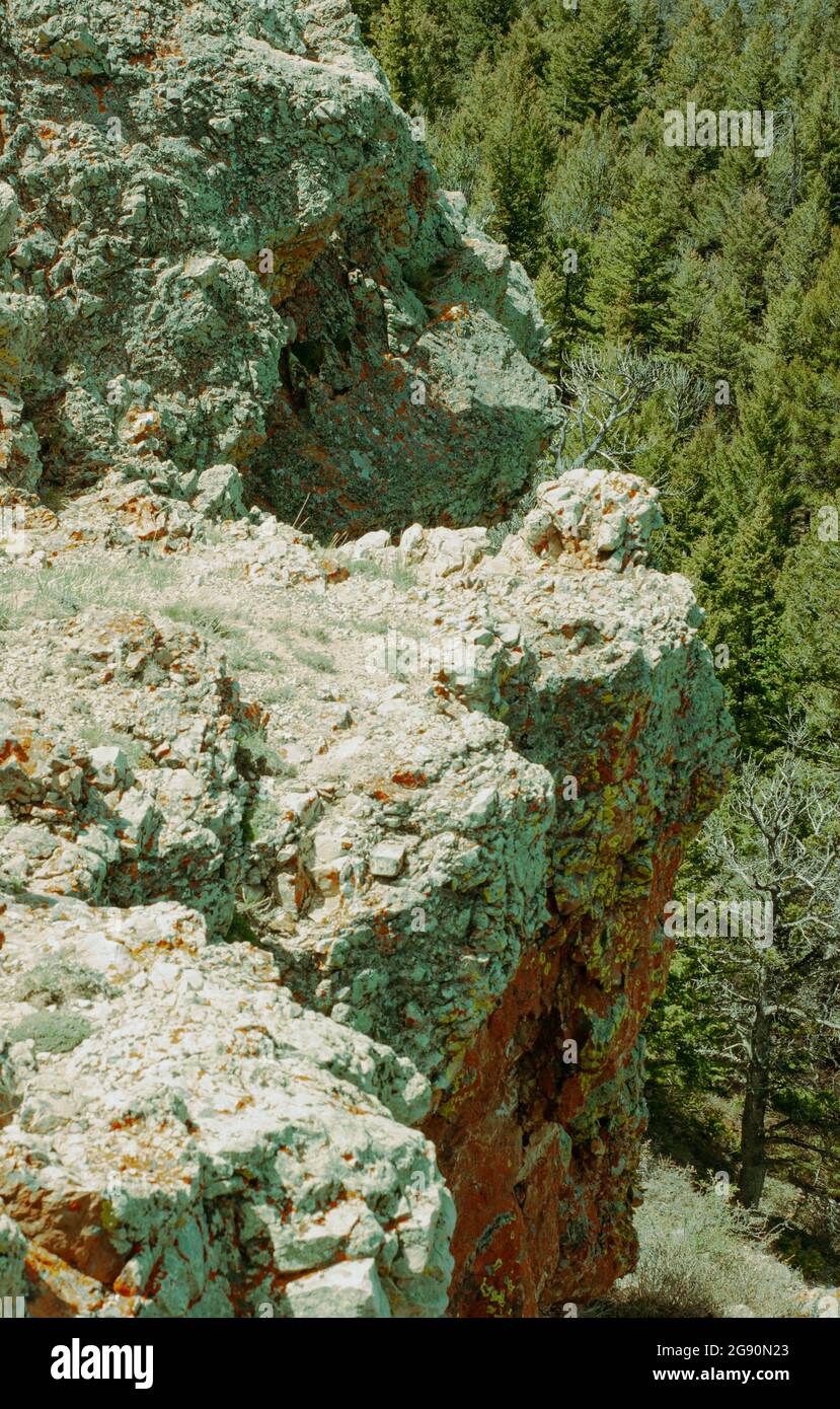 Precipice or white rocky cliff  background with green forest below. Location is Chief Joseph Byway in Wyoming. Closeup.SONY DSC Stock Photo