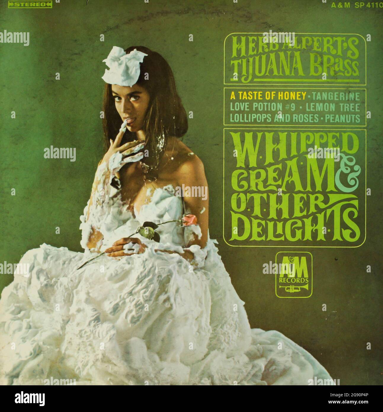 Whipped Cream and Other Delights is a 1965 album by Herb Alpert and the Tijuana Brass music album vinyl record album cover Herb Alpert's Tijuana Brass Stock Photo