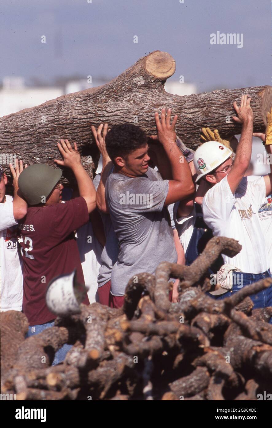 College Station Texas USA, November  18 1999: Students and other volunteers remove logs from the huge piles of timber just hours after the Aggie Bonfire collapse that killed 12 people building the stacks. Bonfire is a student-led ritual at the campus that has been part of school spirit activities leading up to the annual Texas-Texas A&M football game for decades. ©Bob Daemmrich Stock Photo