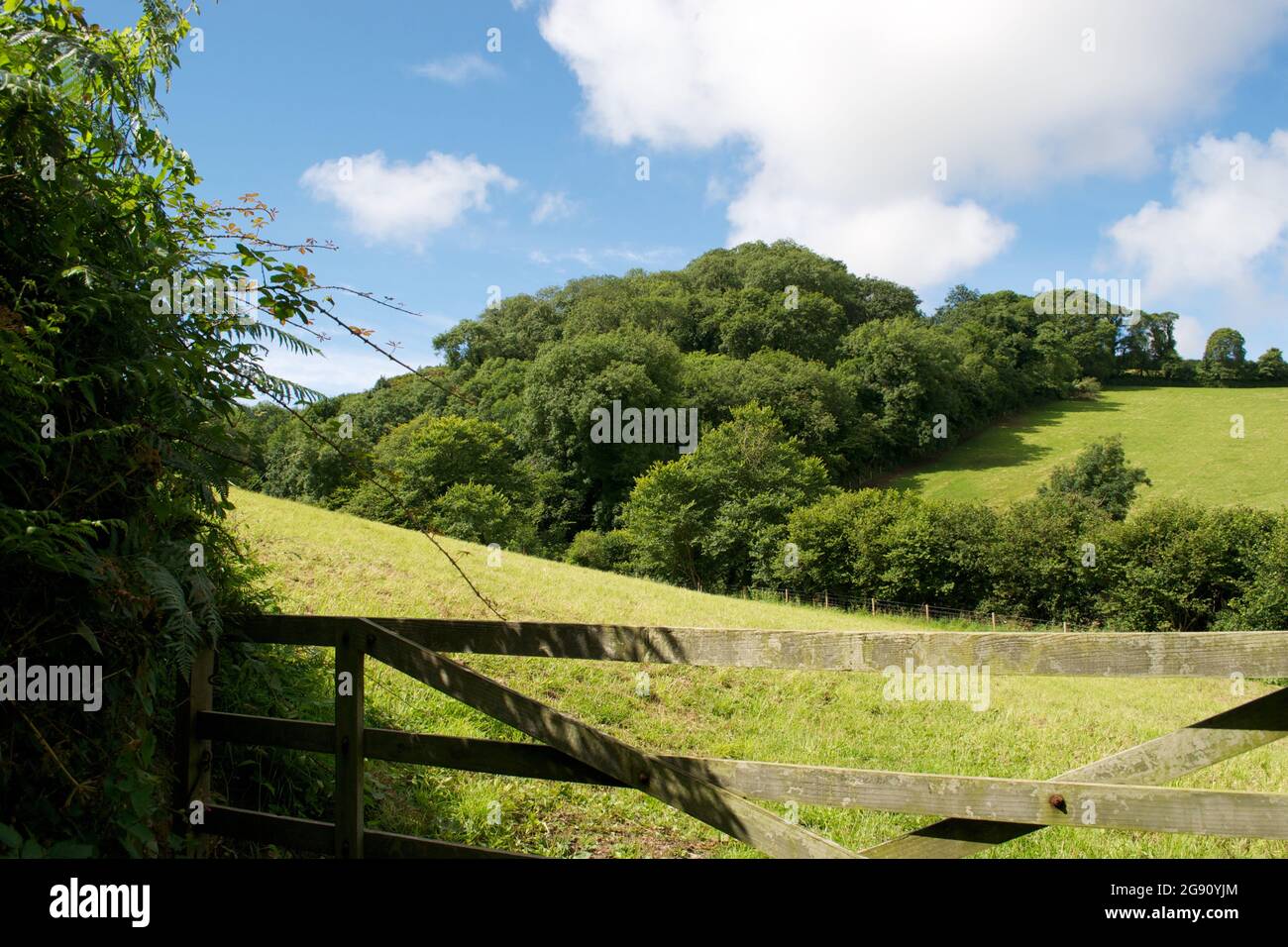 Lush green woodland in rolling countryside. Leafy trees, fields and hills seen over the top of a wooden five bar gate: gorgeous English summer country Stock Photo