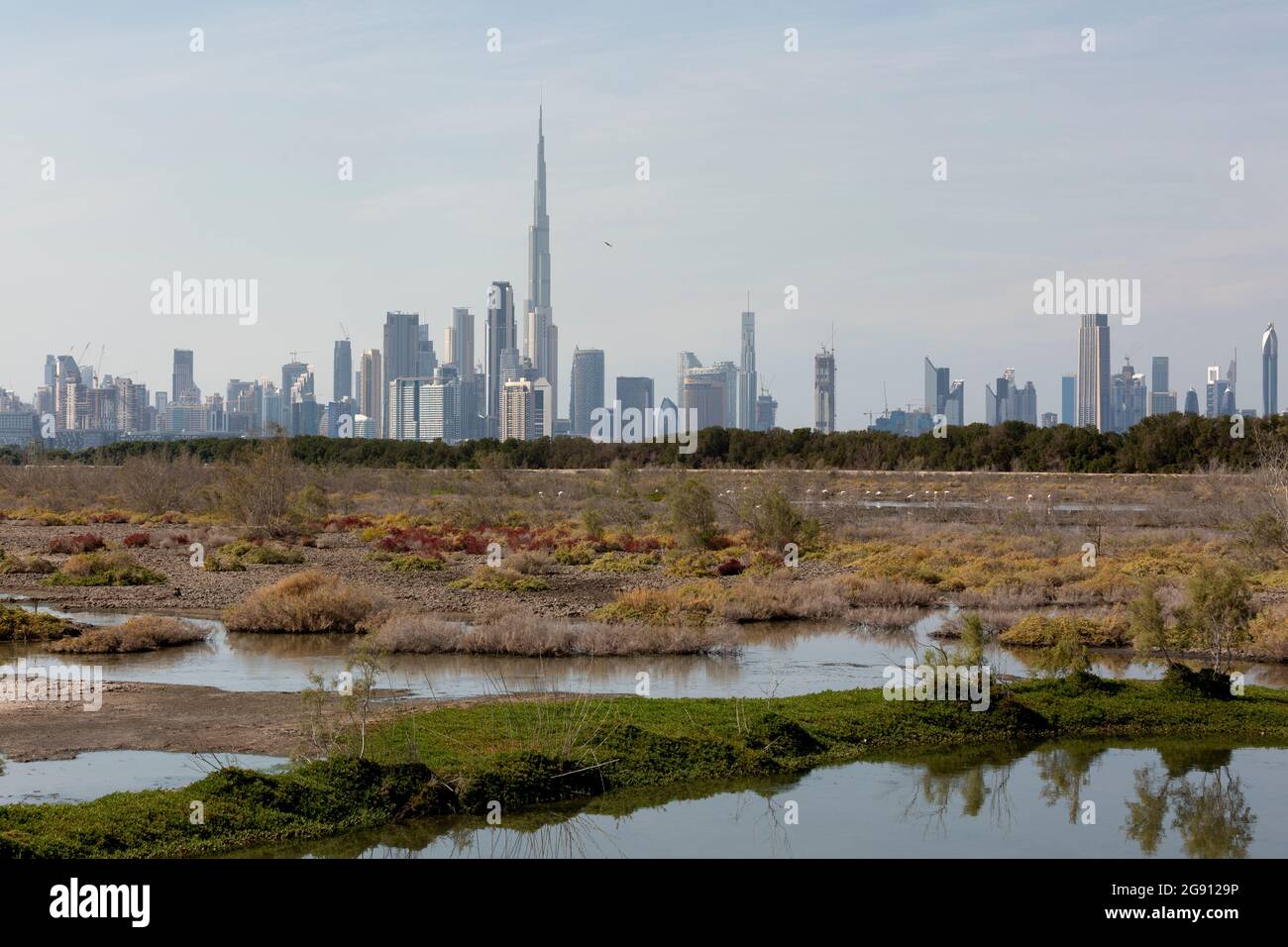 The impressive skyline of downtown Dubai with the world's highest building Burj Khalifa as seen from the nature reserve Ras al Khor. Stock Photo