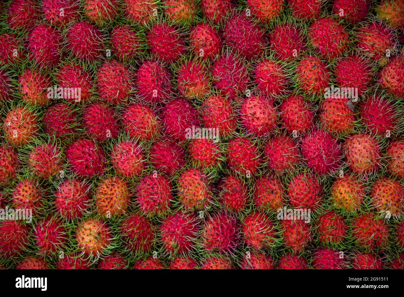Rambutans for sale in a Thai Market Stock Photo