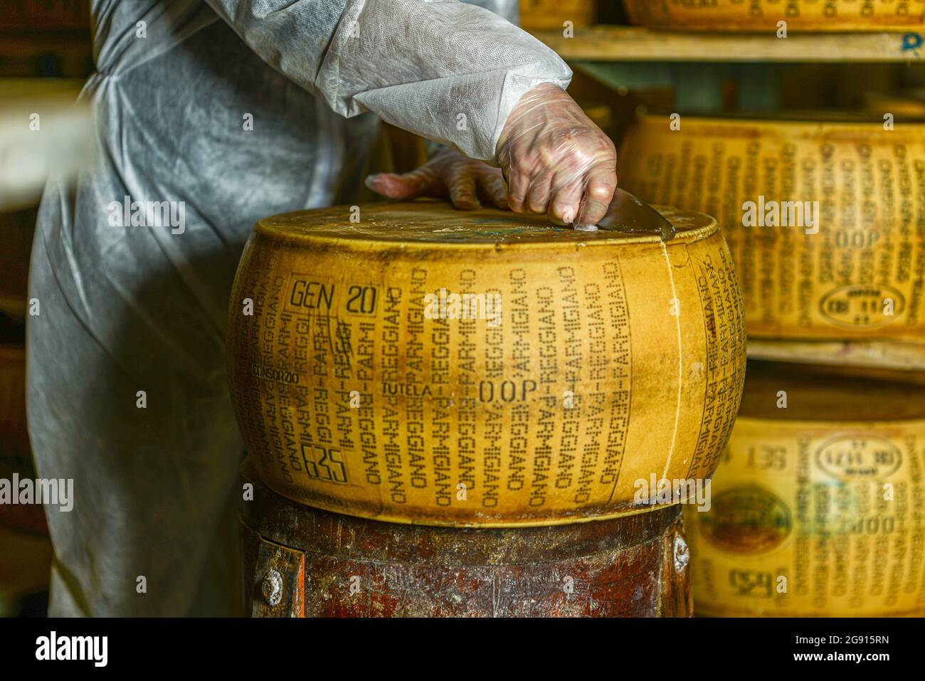 Closeup of a man slicing a Parmigiano Reggiano cheese wheel Stock