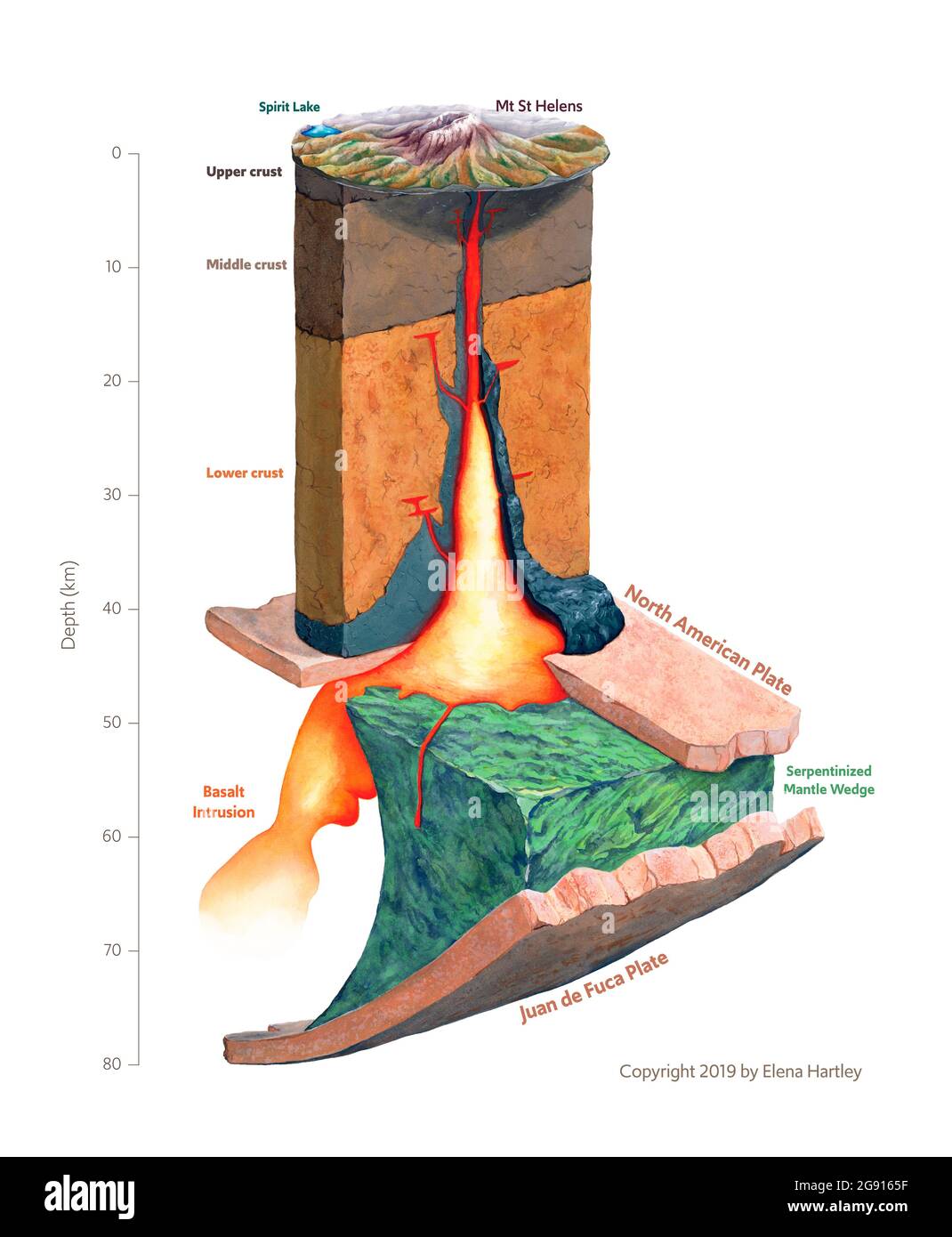 Mt. St. Helens magma plumbing system, illustration Stock Photo