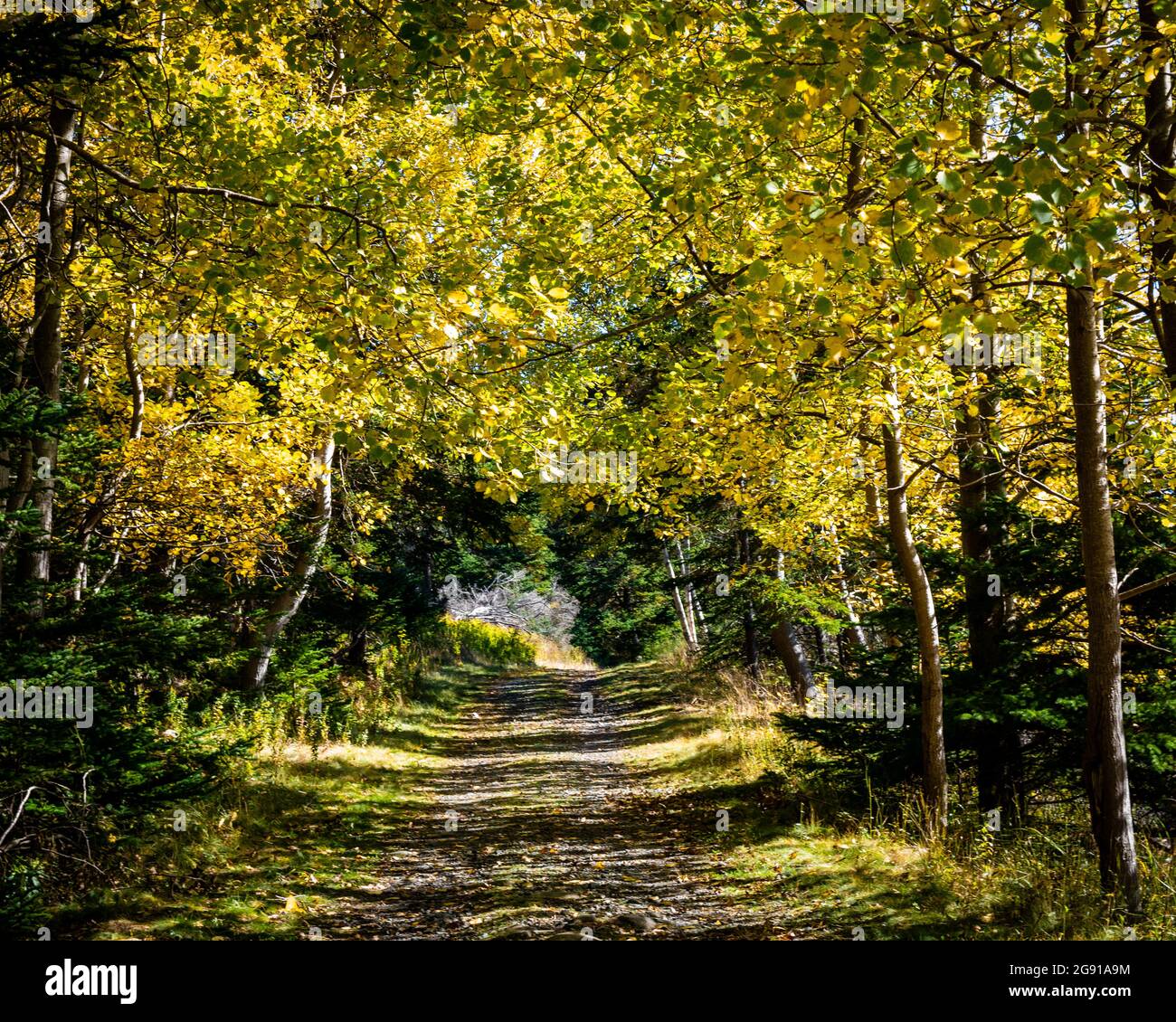 Garrison road hires stock photography and images Alamy