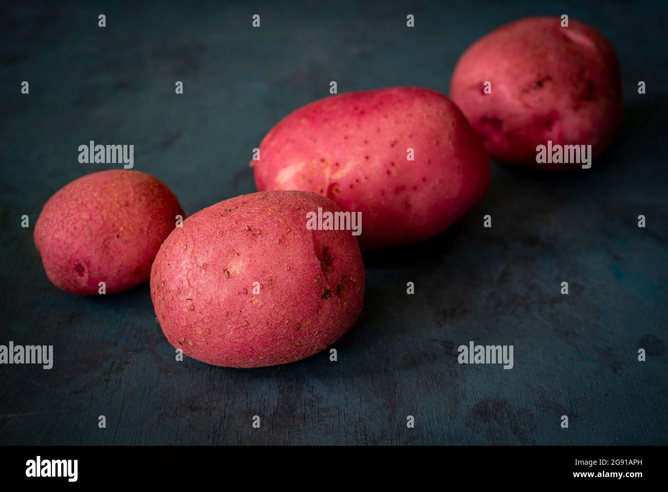 Freshly dug red potatoes on a dark background. Stock Photo