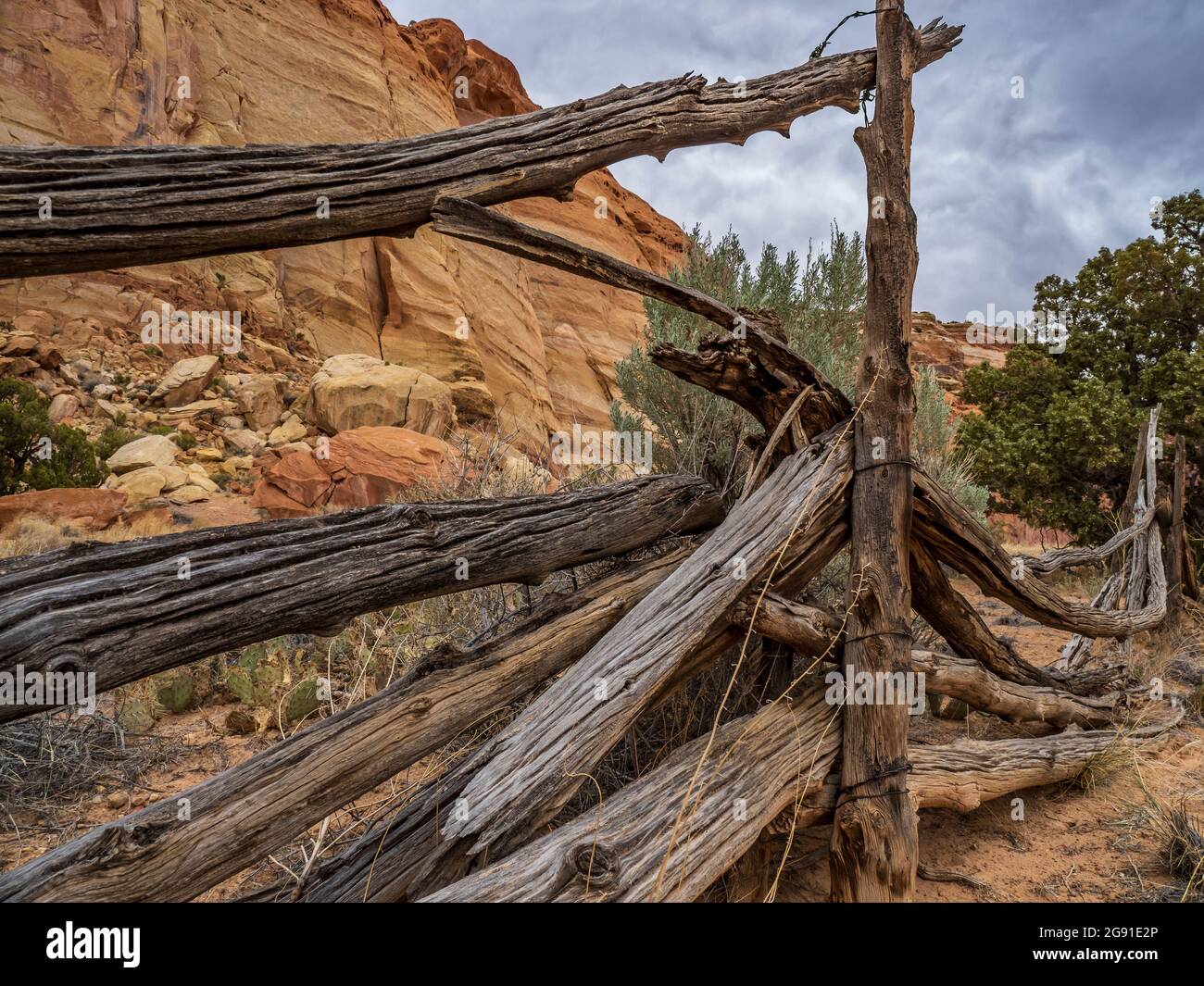 Old ranch fence, Pleasant Creek Canyon, Capitol Reef National Park, Torrey, Utah. Stock Photo