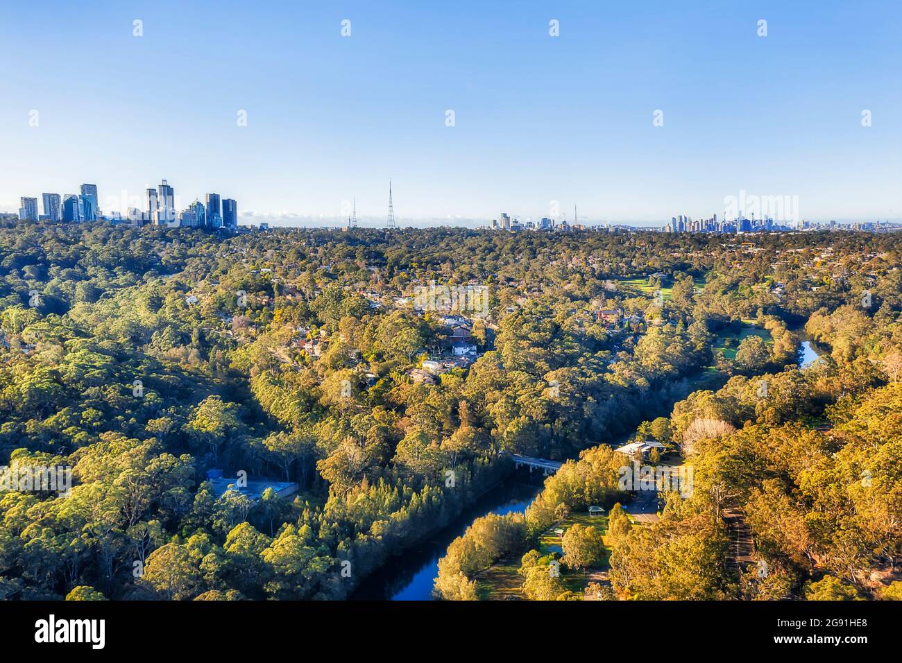 Chatswood and City of sydney skyline from Lane Cove national park green woods on riverside of Lane Cove river - aerial view. Stock Photo