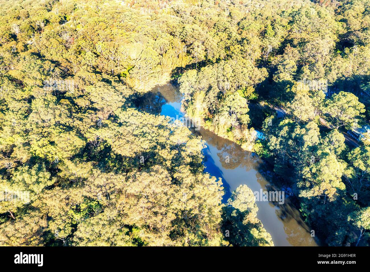 Tree tops of Lane Cove national park in Sydney city, Australia - aerial top down view along river snake. Stock Photo
