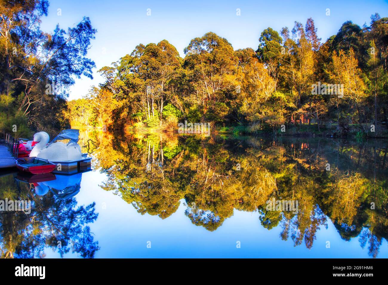 Paddle boats at Lane Cove river national park boatshed in morning sun