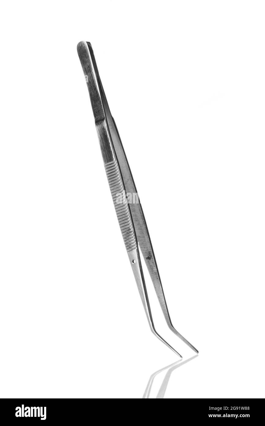 Medical tweezers isolated on white Stock Photo Alamy