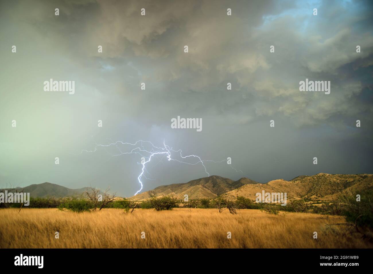 Lightning over desert grasslands Stock Photo