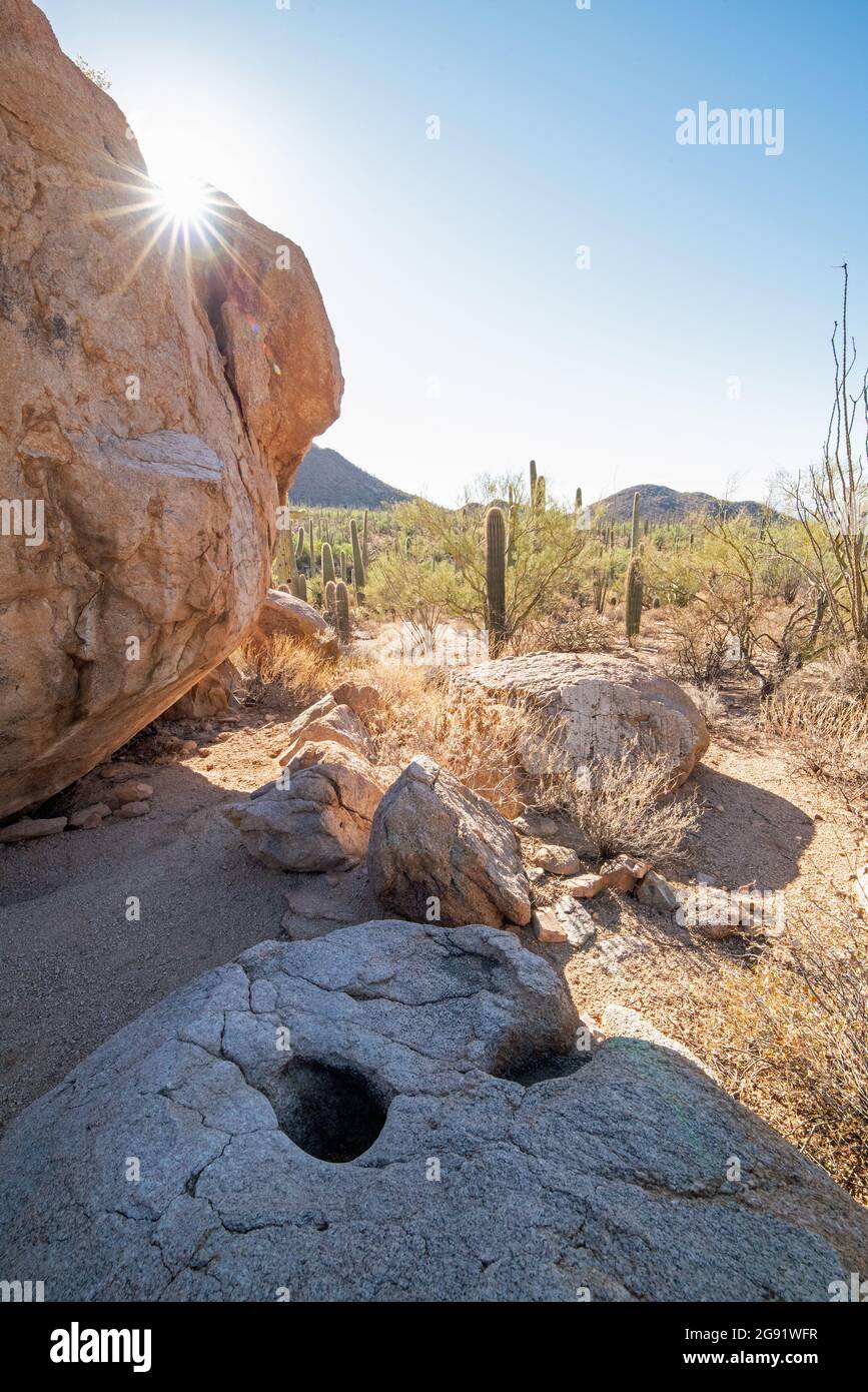 American sonoran desert hi-res stock photography and images - Alamy