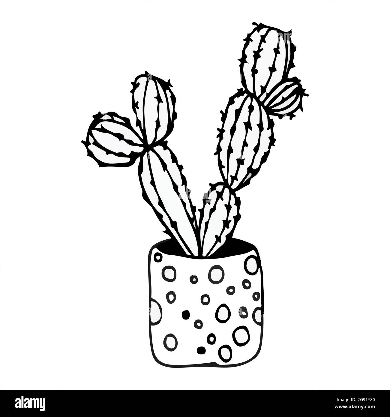 Doodle Illustration Cactus Black On White Stock Vector Image Art Alamy Doodle Illustration Cactus Black On White Stock Vector Image Art Alamy