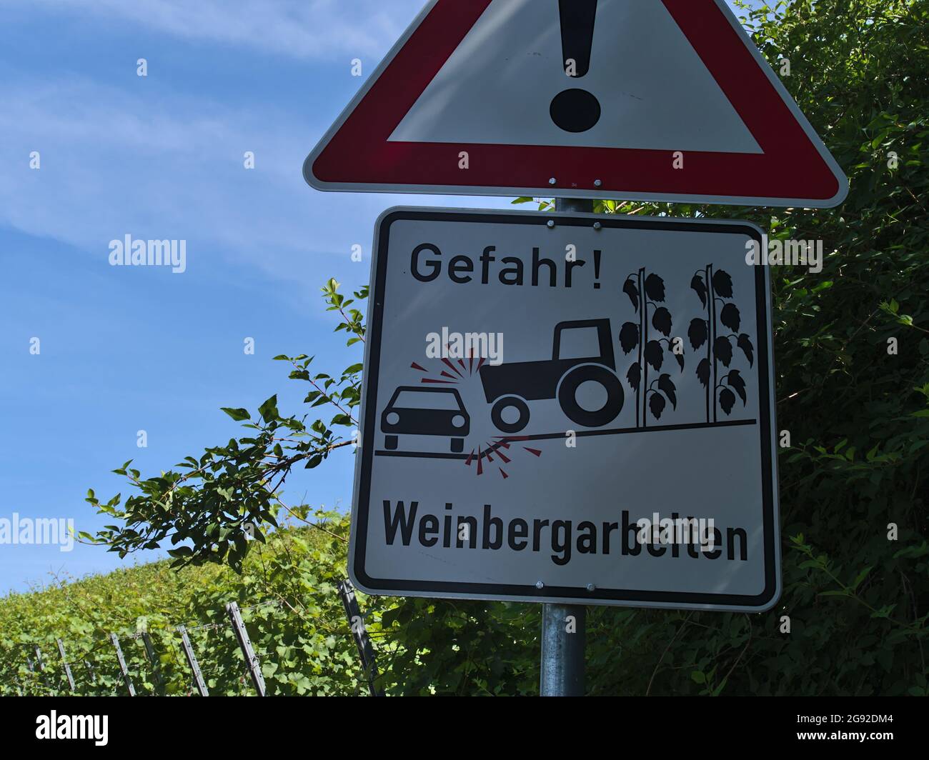 Metal road sign with red frame and exclamation mark warning of accidents that could be caused by works in the vineyards with wine plants in background. Stock Photo