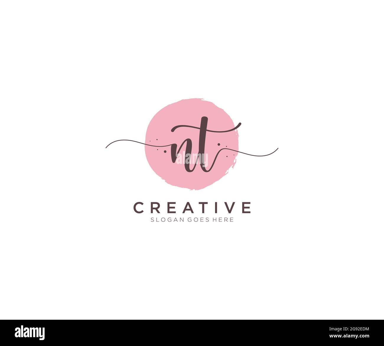 NT Feminine logo beauty monogram and elegant logo design, handwriting ...