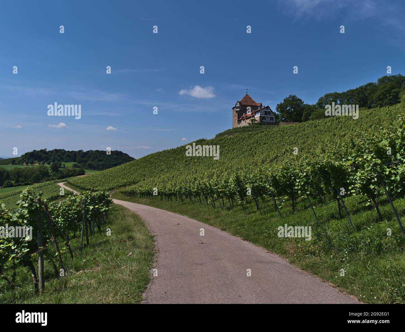 Diminishing perspective of agricultural road leading through vineyards with green leaves below historic medieval castle Burg Wildeck in Germany. Stock Photo