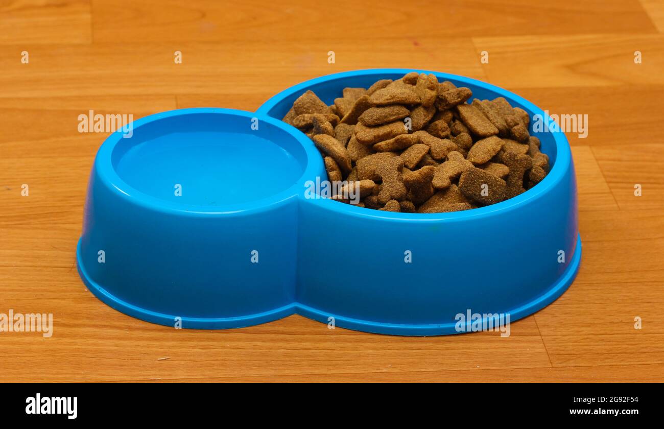 dry dog food and water in blue bowl on the floor Stock Photo Alamy