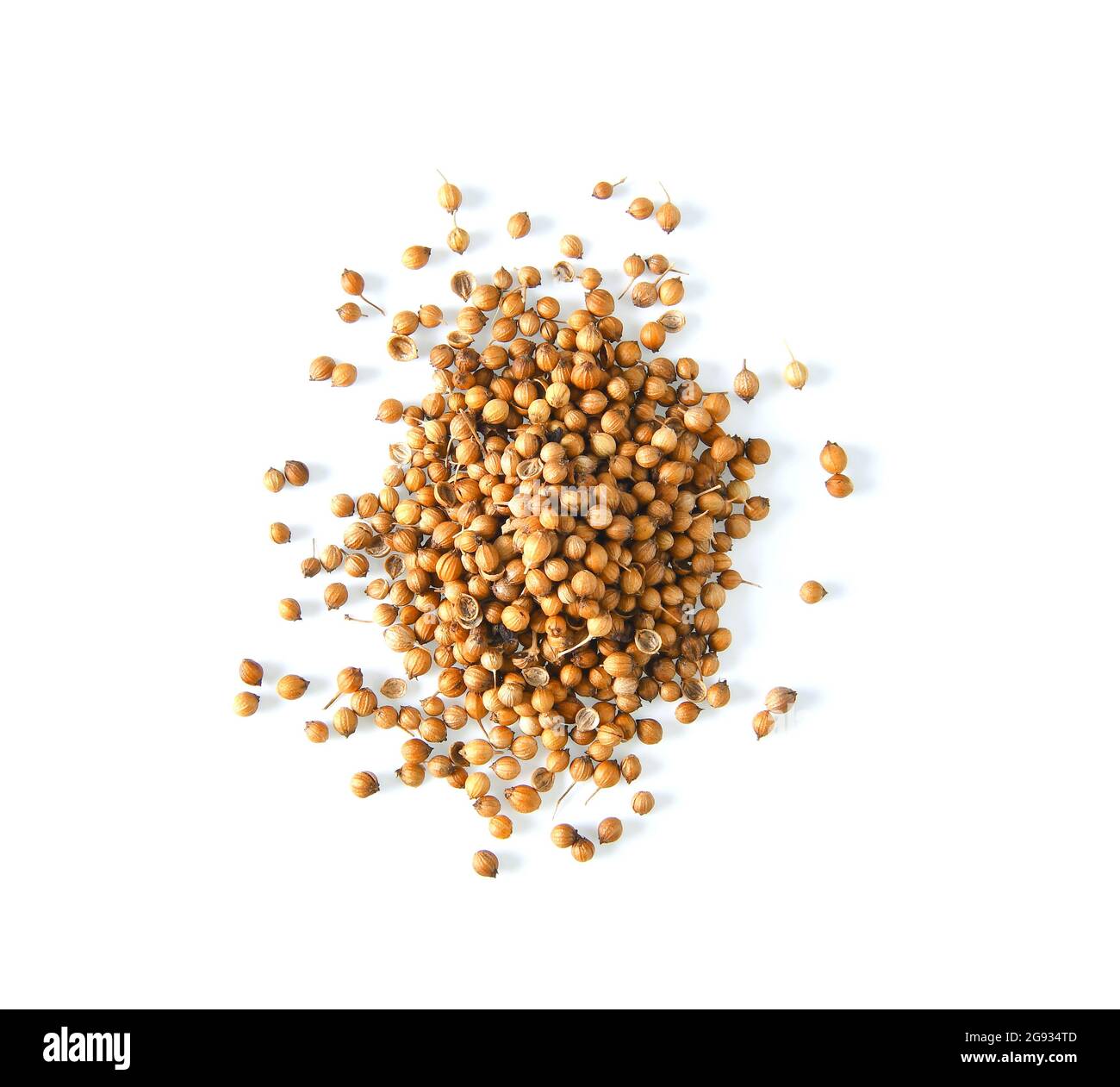coriander seeds isolated on white background Stock Photo - Alamy