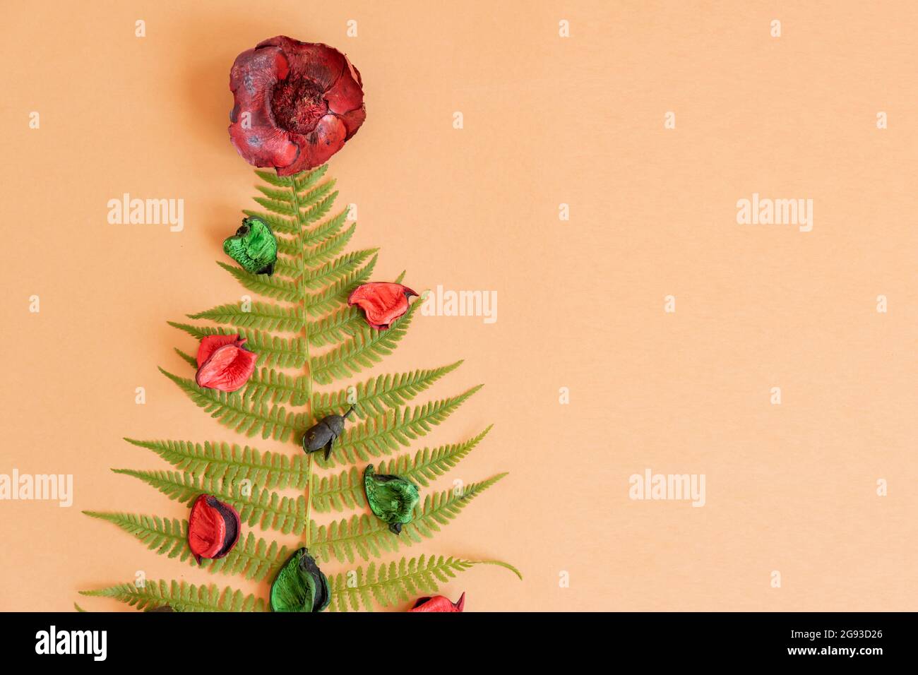 Summer christms tree made of fern and dry flowers with copy space. Alternative celebration of new year. Stock Photo