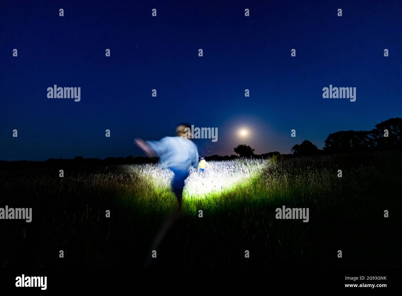 Campfire, marsh mallows and bug hunting. Hope Farm Retreats glamping. Kids nighttime bug