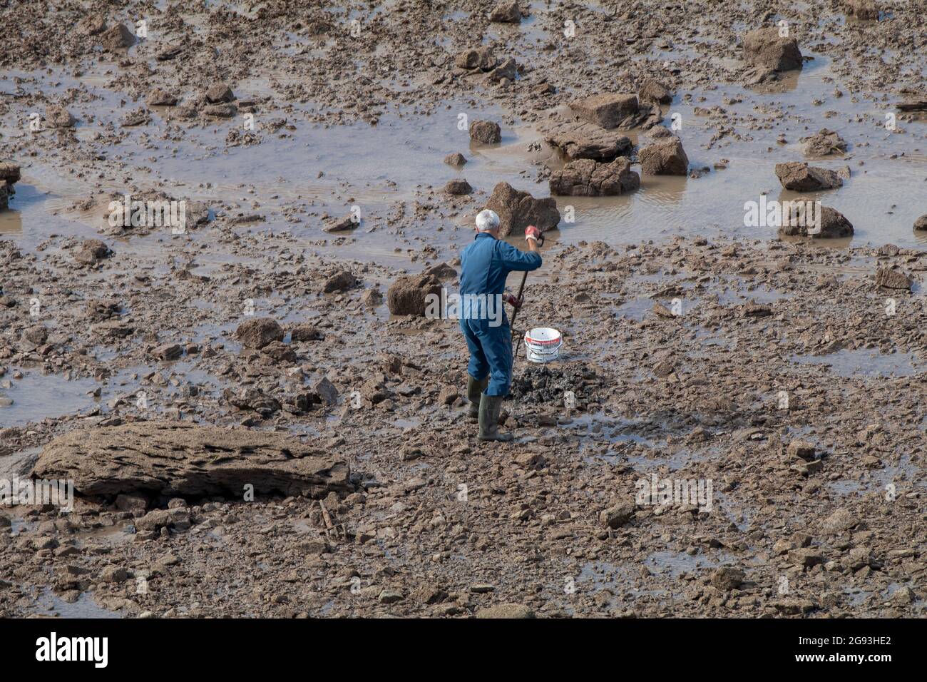 Collecting worms hi-res stock photography and images - Alamy