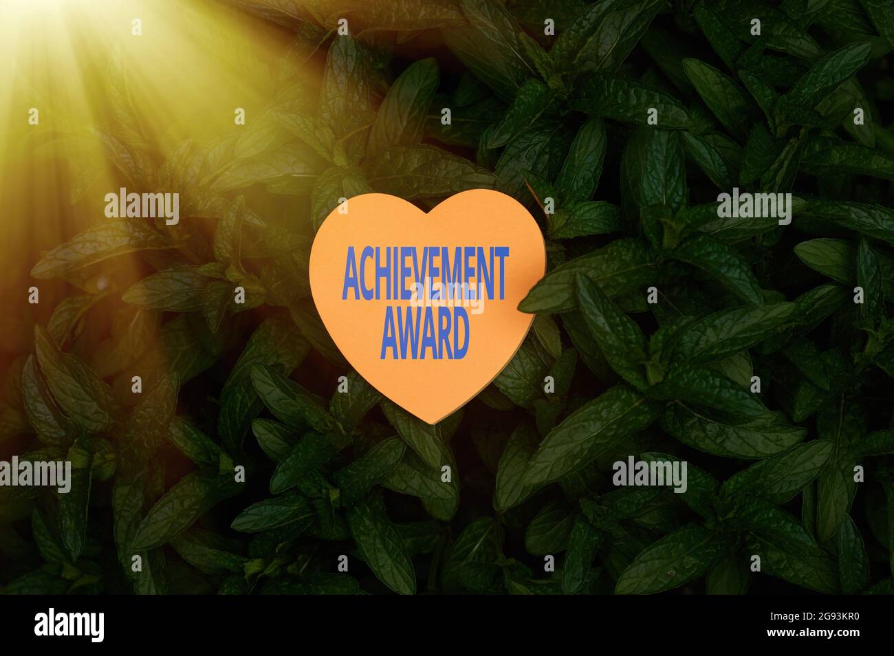Writing displaying text Achievement Award. Word for recognizes worthy ...