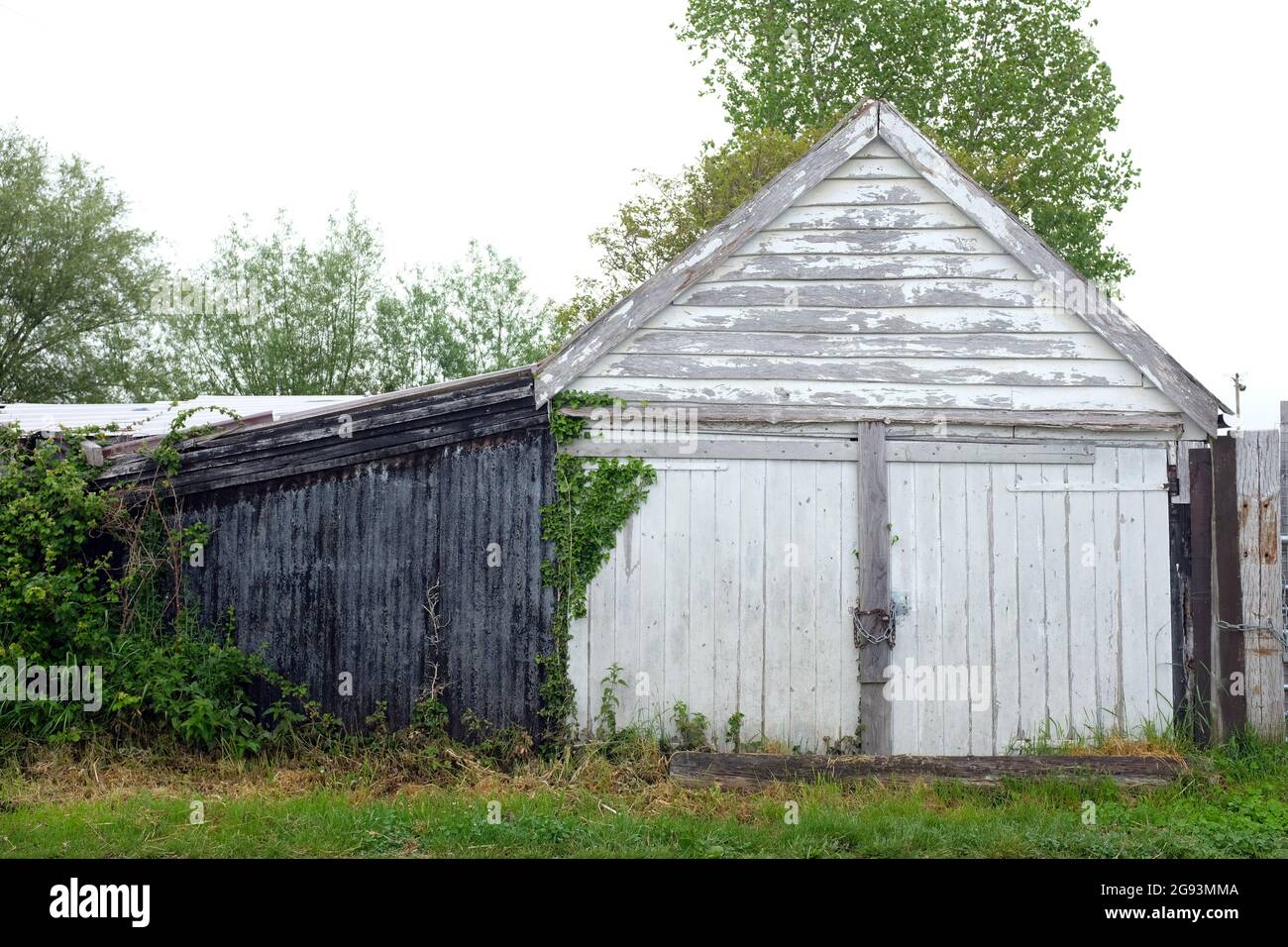 June 2021 - Old white wooden garage doors Stock Photo - Alamy