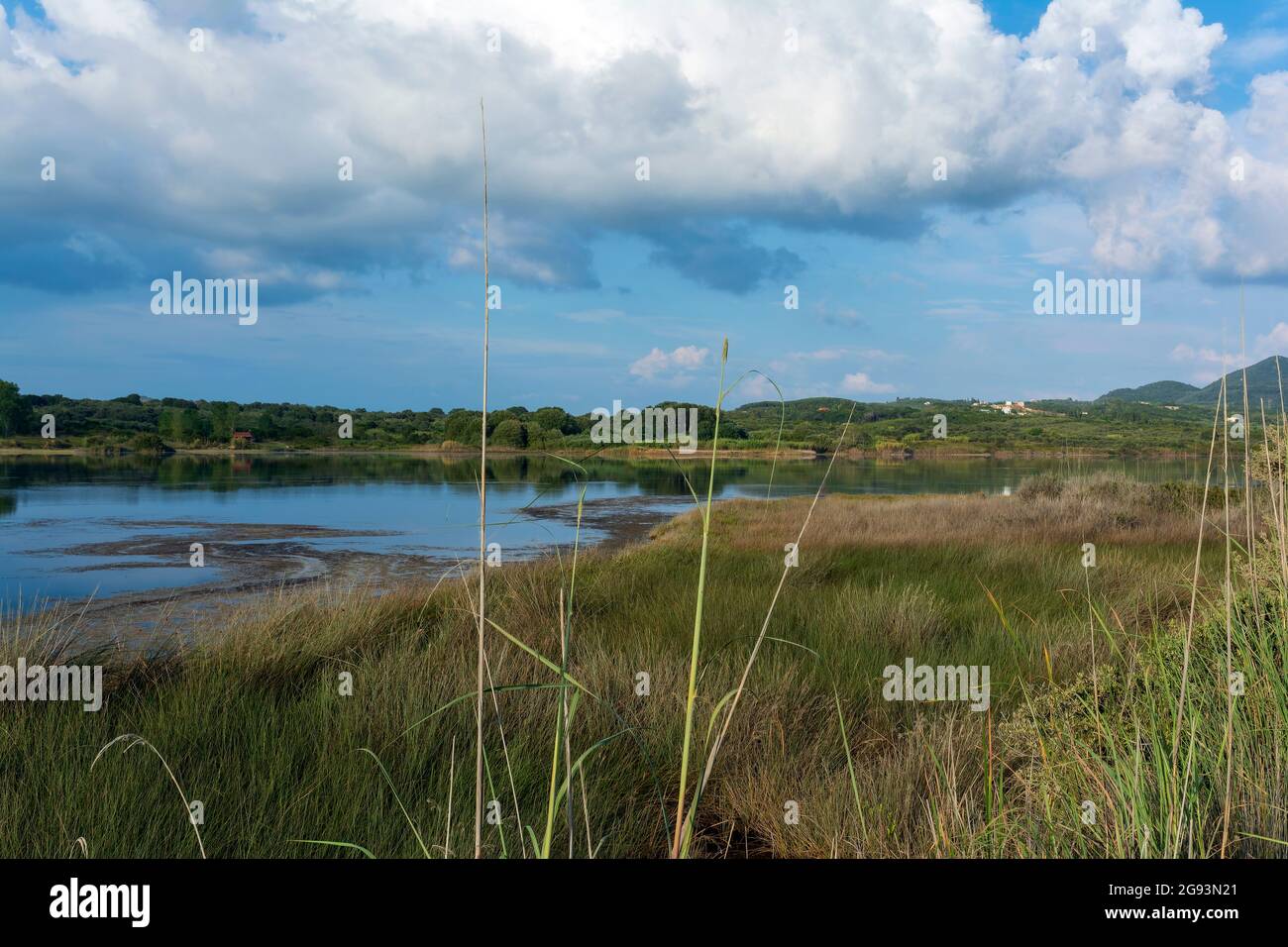 The Gialova lagoon is one of the most important wetlands in Europe, as it constitutes the southernmost migratory station of migratory birds in the Bal Stock Photo