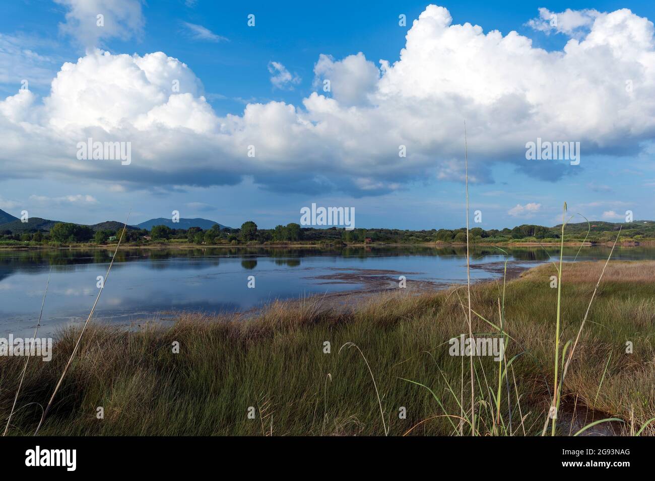 The Gialova lagoon is one of the most important wetlands in Europe, as it constitutes the southernmost migratory station of migratory birds in the Bal Stock Photo