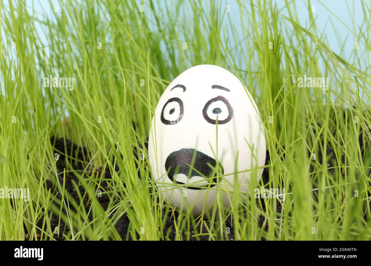 White egg with funny face in green grass Stock Photo - Alamy