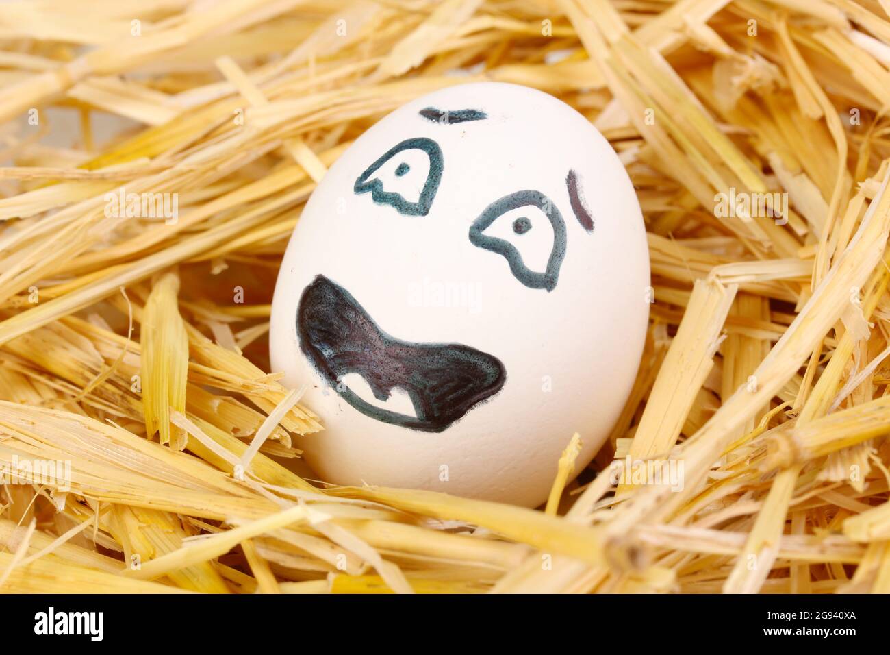 White egg with funny face in straw Stock Photo - Alamy