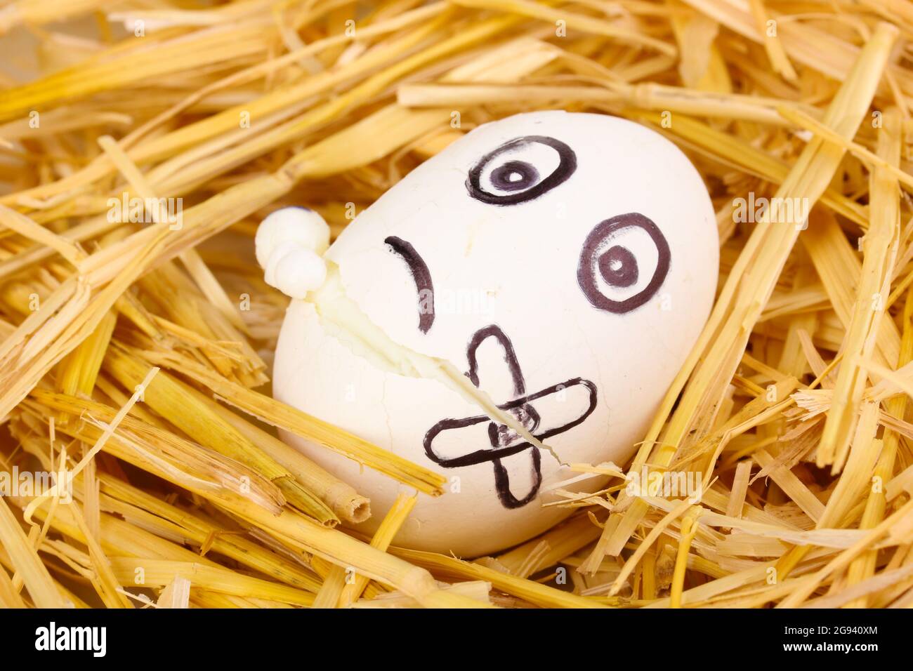 White egg with funny face in straw Stock Photo - Alamy
