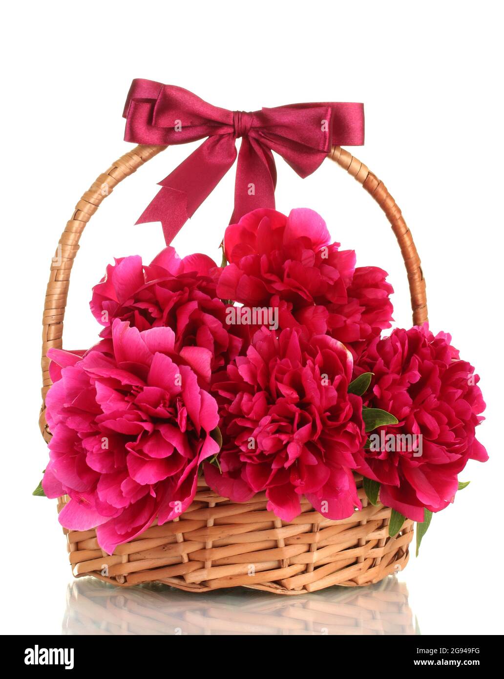 beautiful pink peonies in basket with bow isolated on white Stock Photo ...