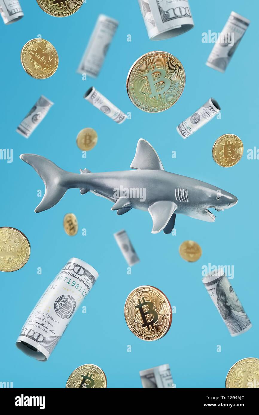 A great white shark around cryptocurrency and money on a blue