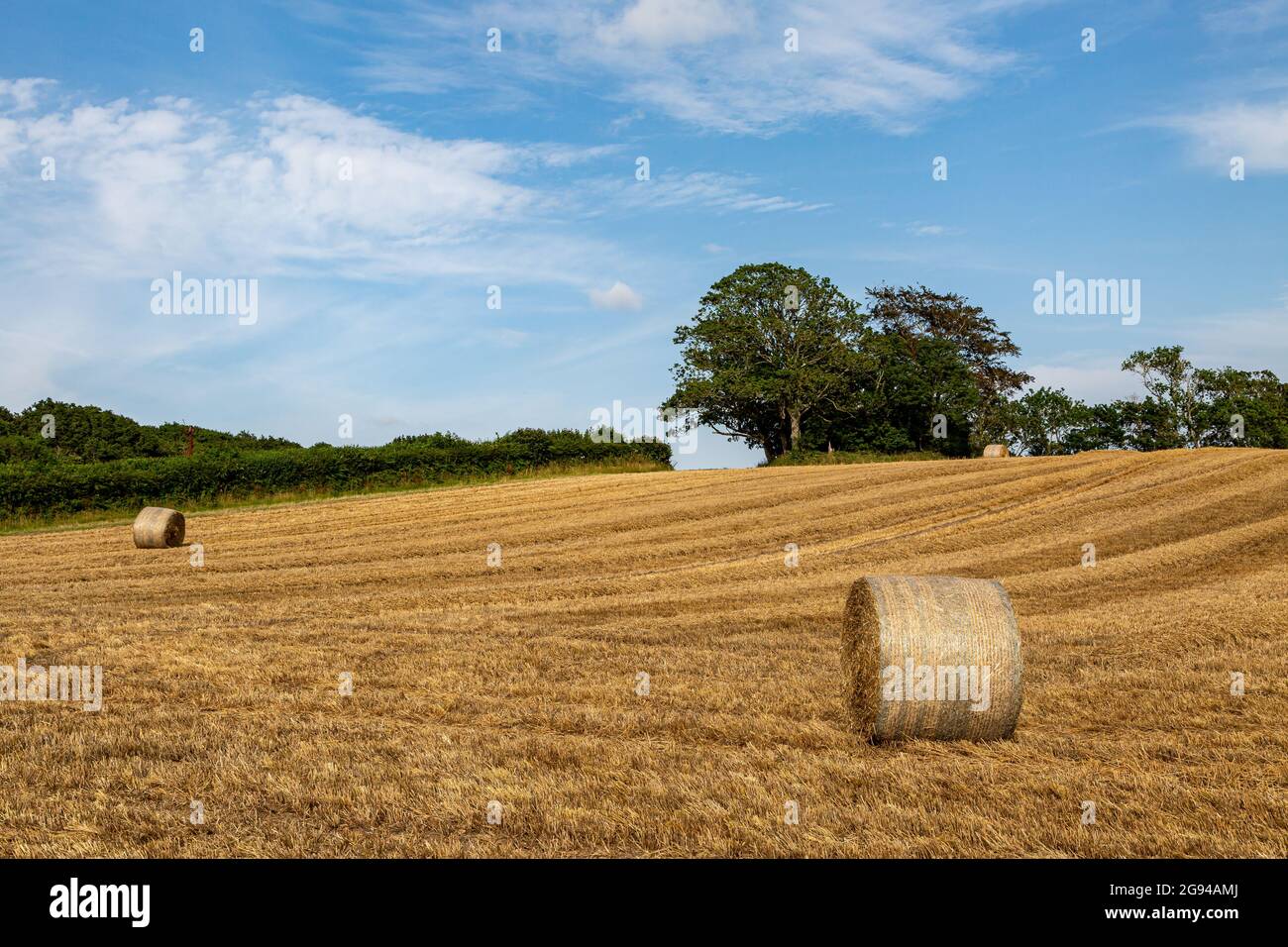 Hay Bales in the Sussex Countryside on a Sunny Summers Day Stock Photo