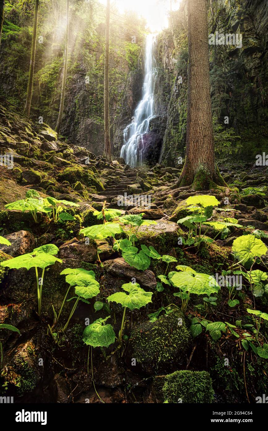 Vertical shot of The Burgbach Waterfall in the Black Forest in Bad Rippoldsau-Schapbach, Germany Stock Photo