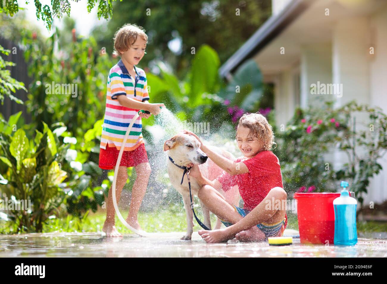 Kids wash dog in summer garden. Water hose and sprinkler fun for kid