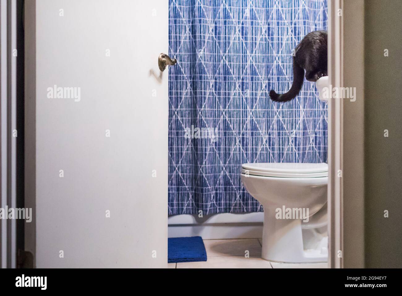 Sink toilet funny hi-res stock photography and images - Alamy Sink toilet funny hi-res stock photography and images - Alamy