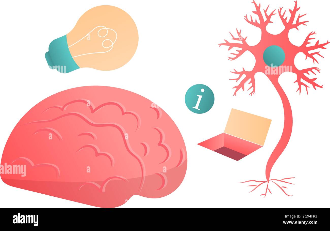 Neuron, brain, information transfer. Light bulb and idea. Vector flat set of isolated objects on a white background Stock Vector