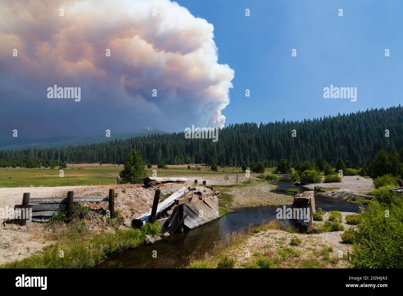 The plume from the Dixie Fire in Plumas County, California billowing smoke as seen from nearby Deer Creek on July 22, 2021 Stock Photo
