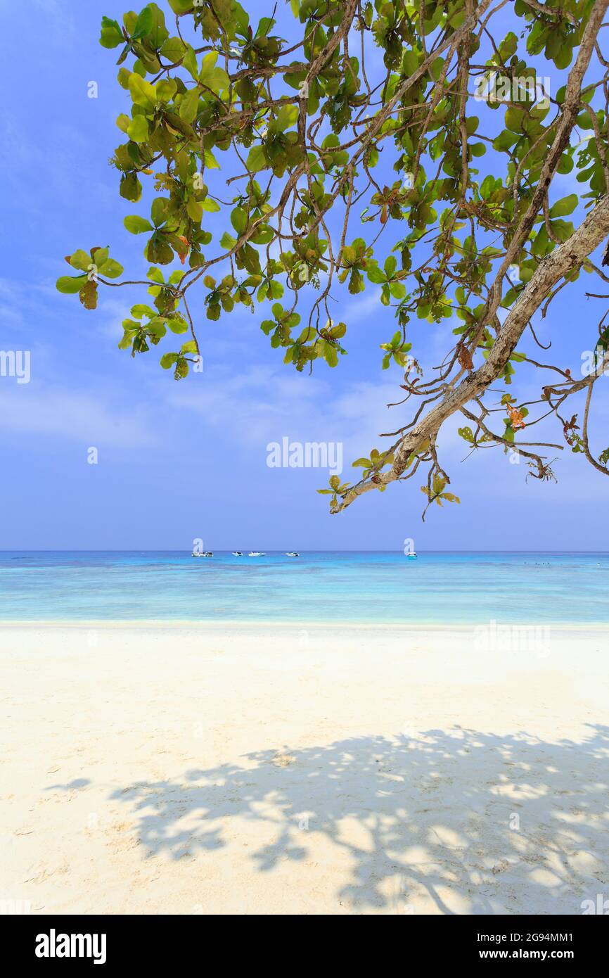 White sand beach and blue sky Stock Photo - Alamy