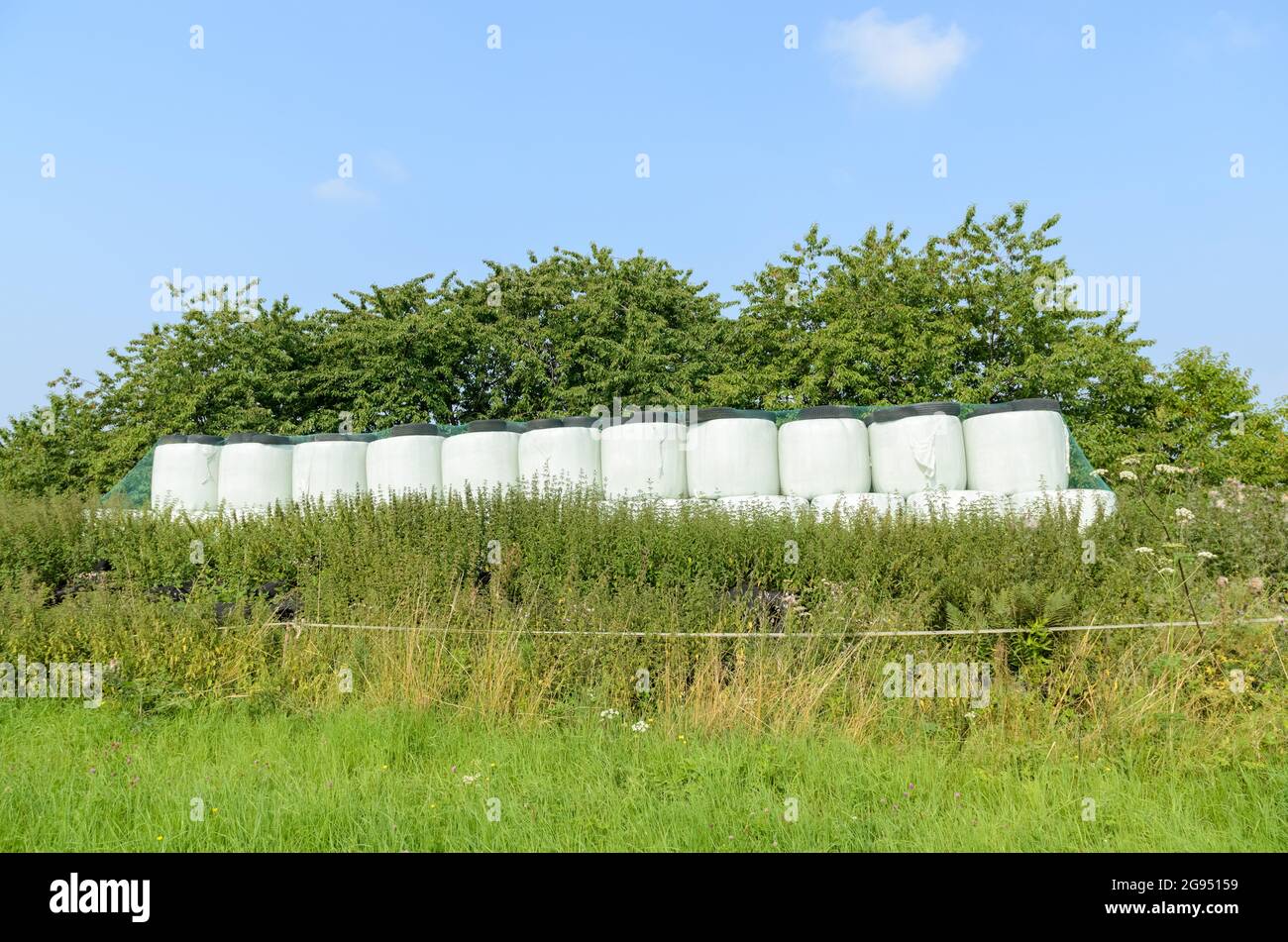 Pile of hay bales for fooder wrapped in plastic, covered with a net and discarded old rubber tires near a farm in the rural countryside in Germany Stock Photo