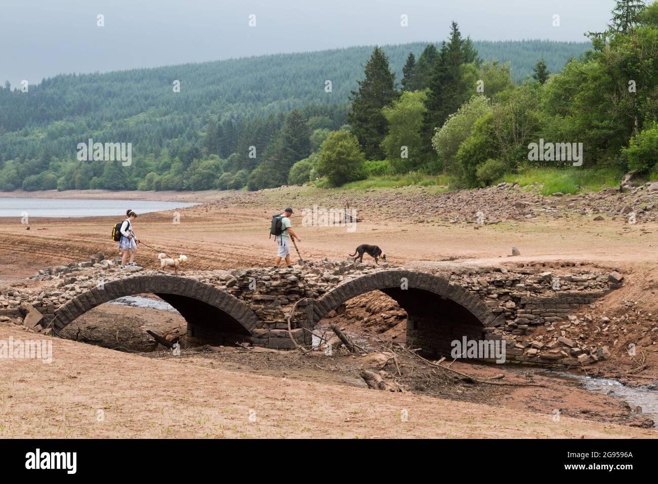 UK weather: Llwyn Onn reservoir, Merthyr Tydfil, South Wales.  24 July 2021.  Water levels continue to deplete after the heatwave.  Credit: Andrew Bartlett/Alamy Live News. Stock Photo