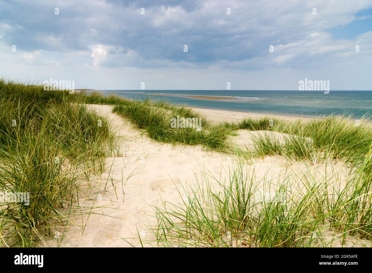 Marram grass growing in the sand dunes of a deserted beach in Norfolk UK with a sand bank appearing from the sea as the tide recedes. Stock Photo