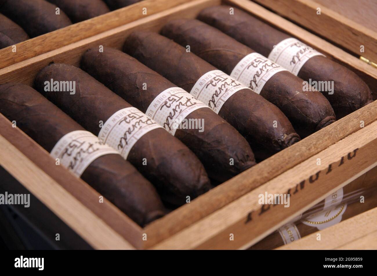 select cigars Stock Photo