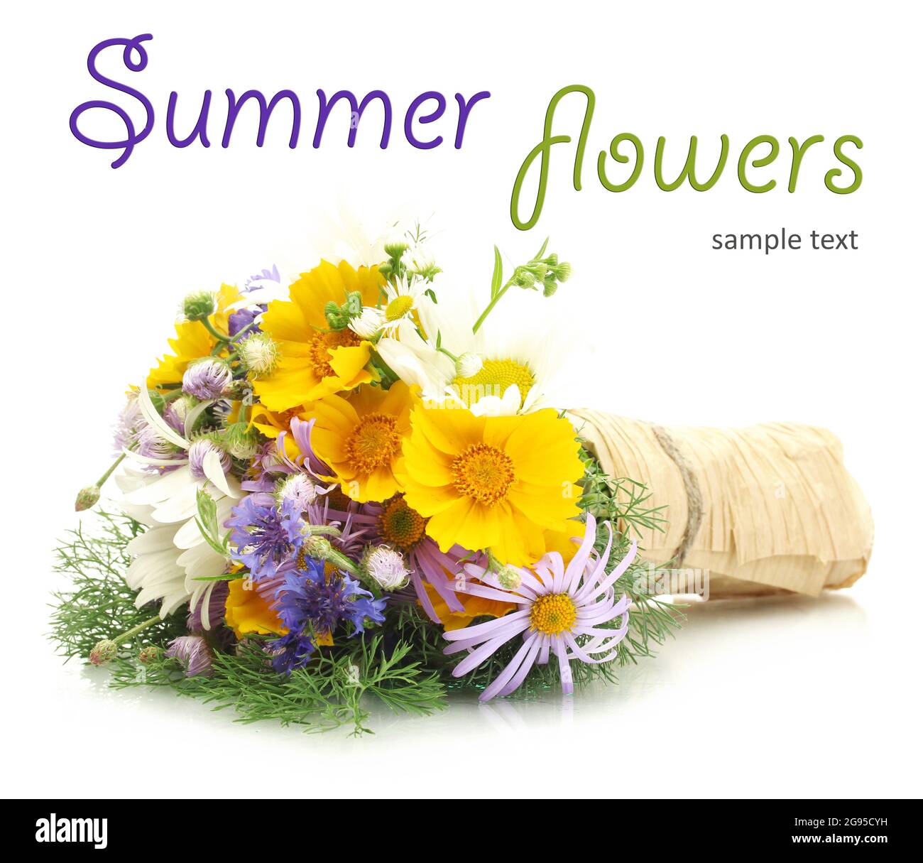 Beautiful bouquet of bright wildflowers isolated on white Stock Photo ...