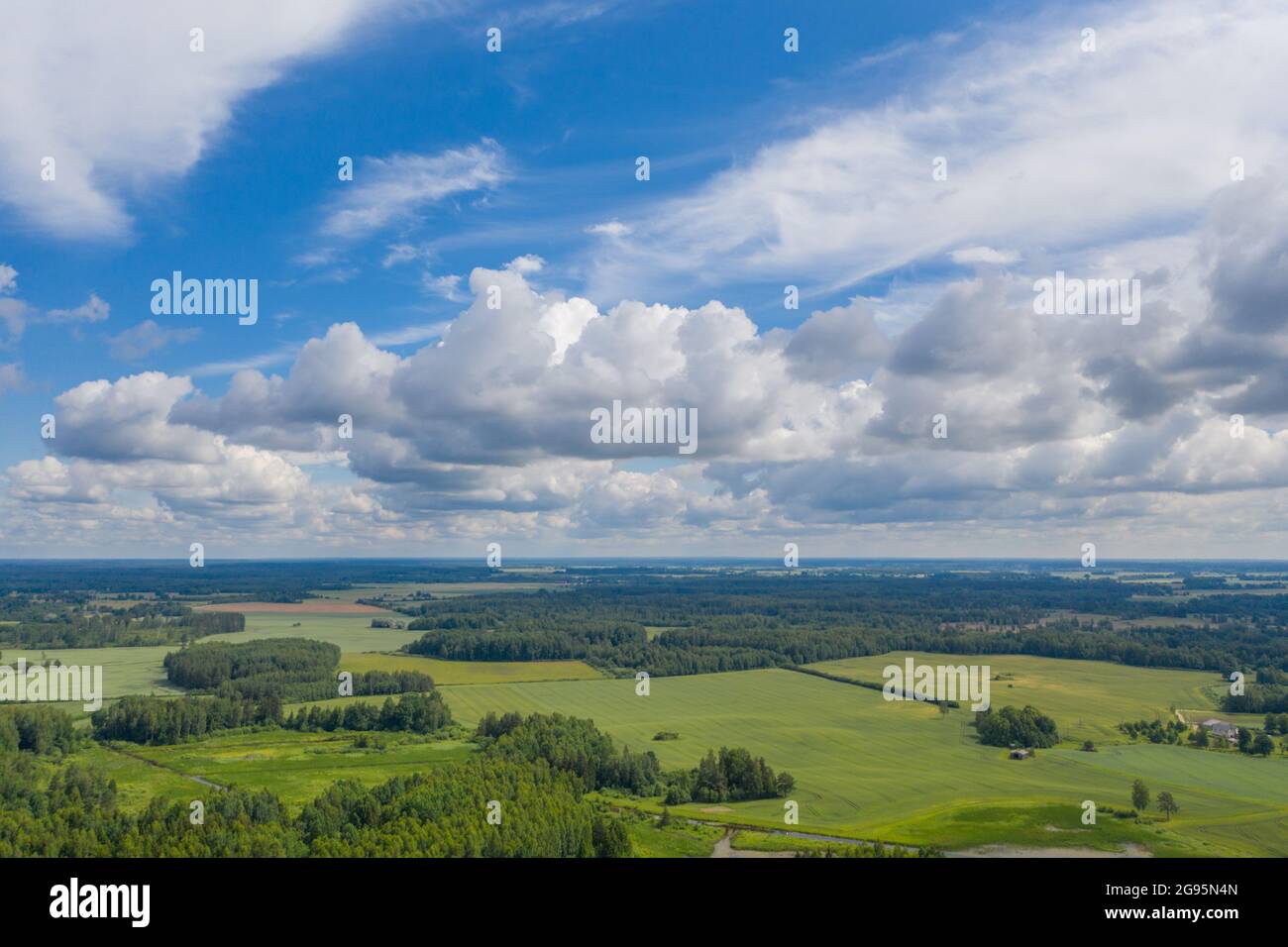 Aerial view of green forests surrounded by green farmland fields. Blue ...