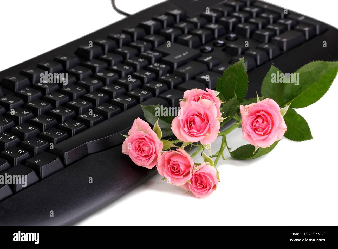 Pink roses on keyboard closeup communication Stock Photo Alamy